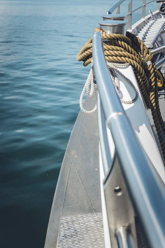 Nifty.Boats Premium Domain